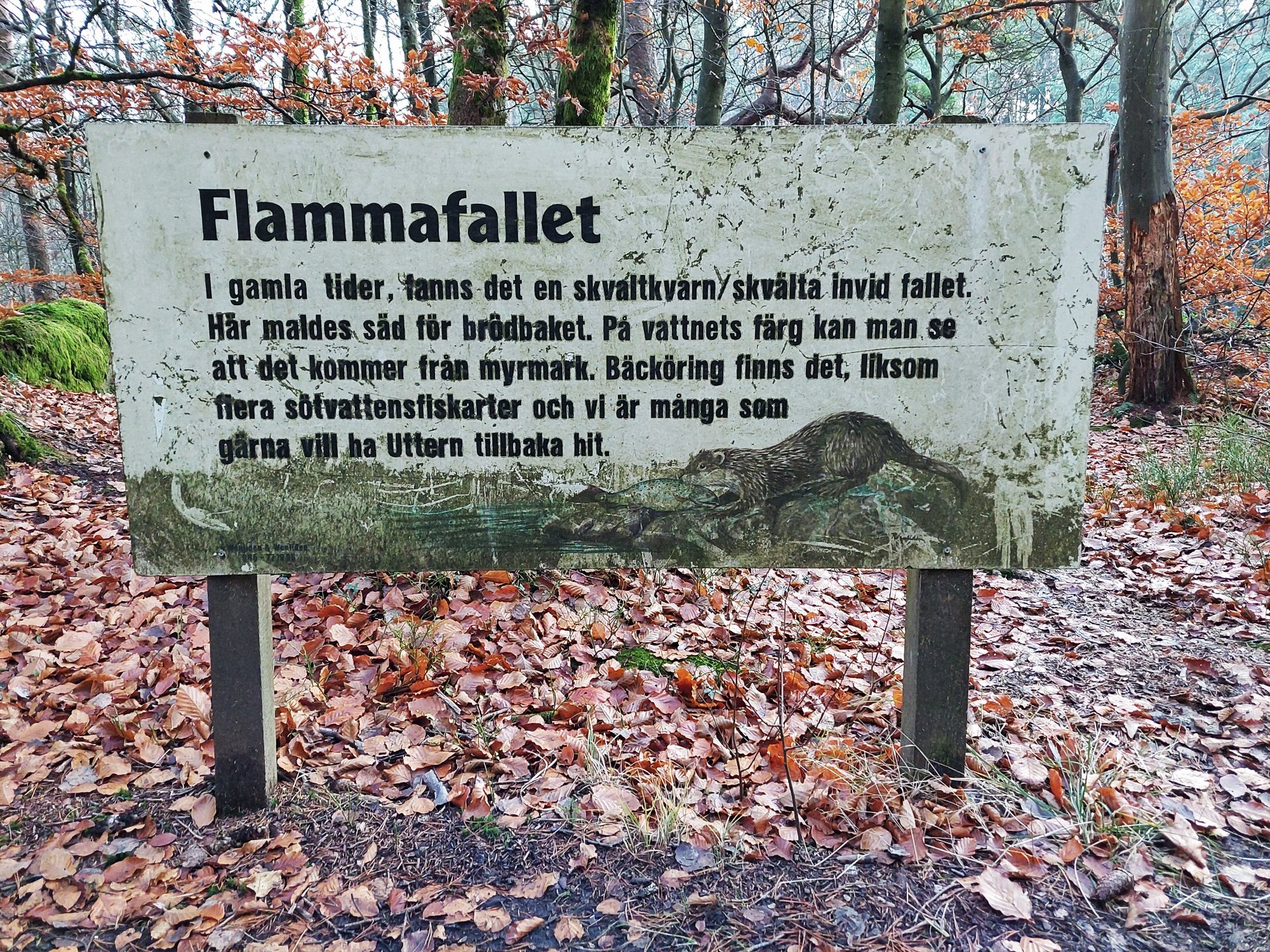 Flammafallet